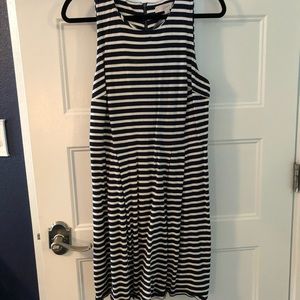 LOFT Navy and White Skater Dress